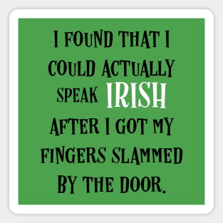 Irish Language: The Sound Of Ireland - Irish Puns Magnet